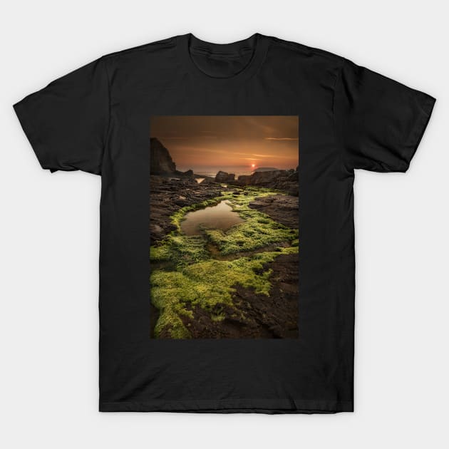 Great Pollet Sea Arch T-Shirt by cagiva85